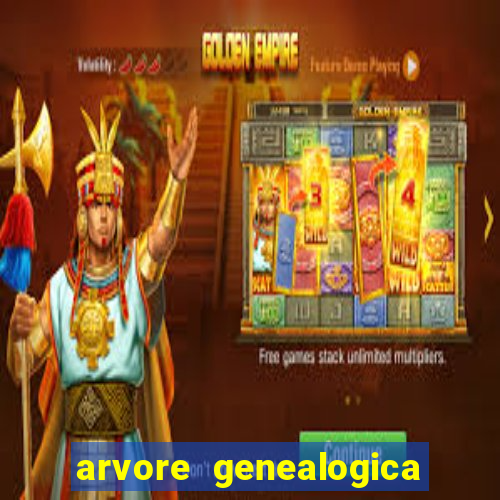 arvore genealogica dos gracie